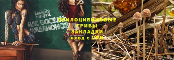 МДПВ Куйбышев