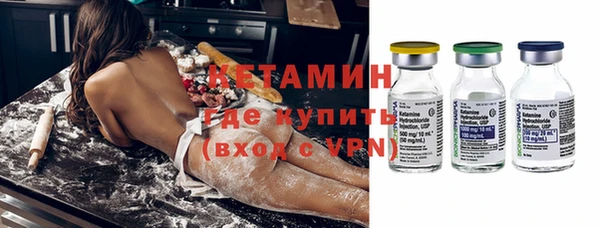 крисы Лагань
